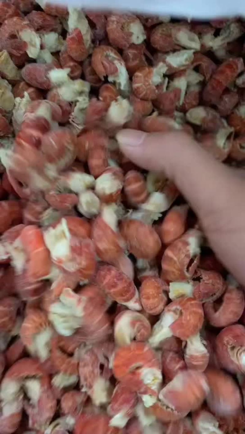 龙虾尾，原料，成品，批发定制