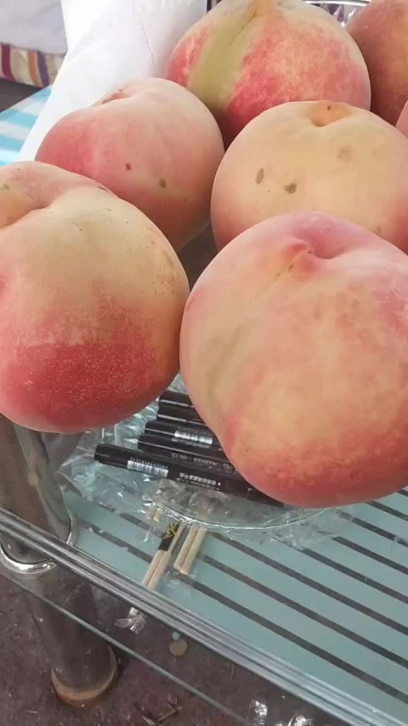 深州水蜜桃