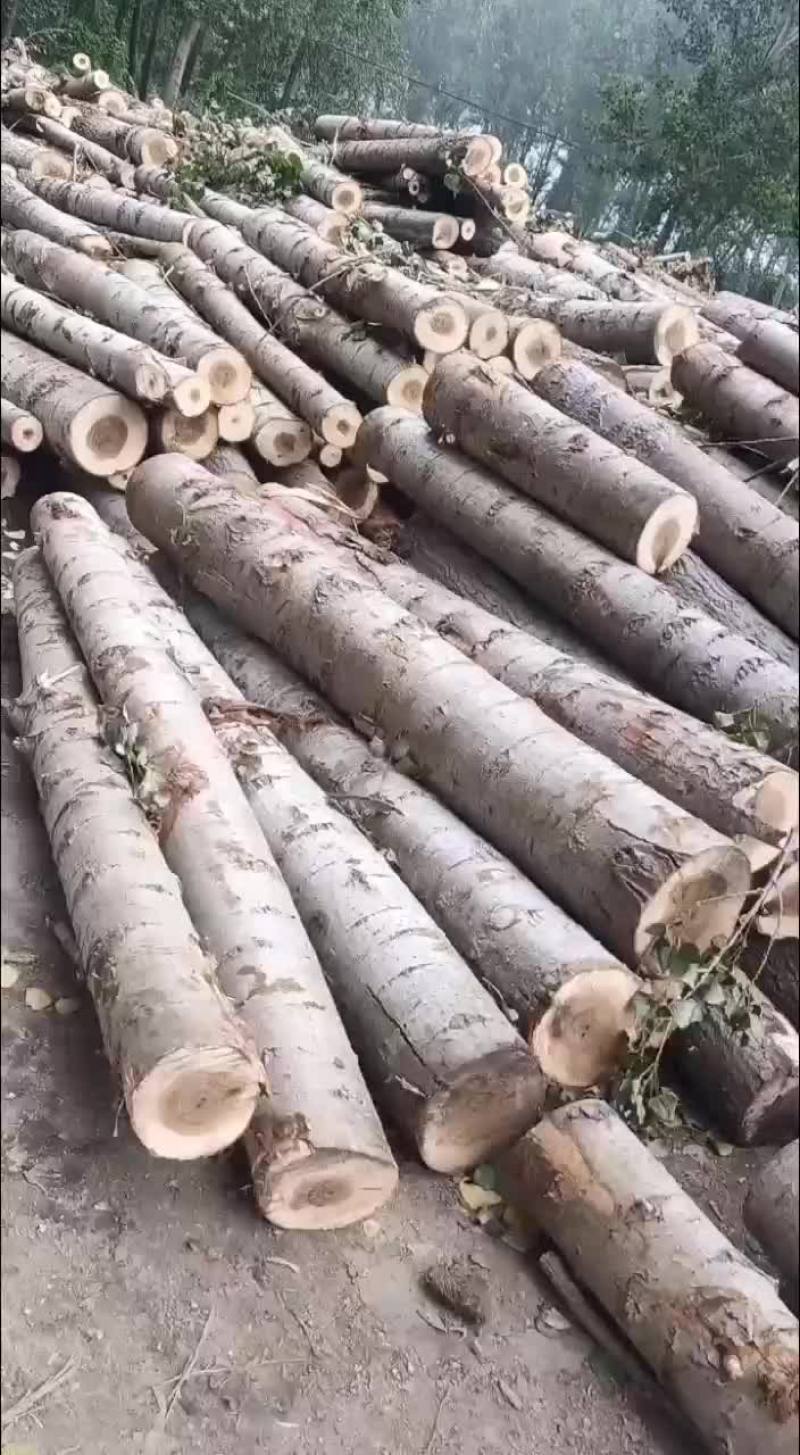 精品