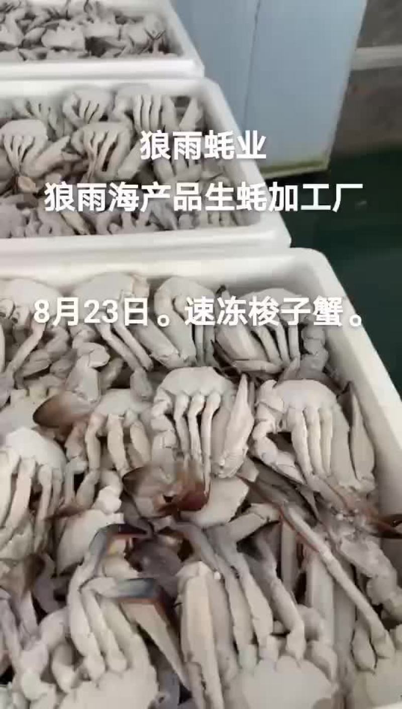 梭子蟹