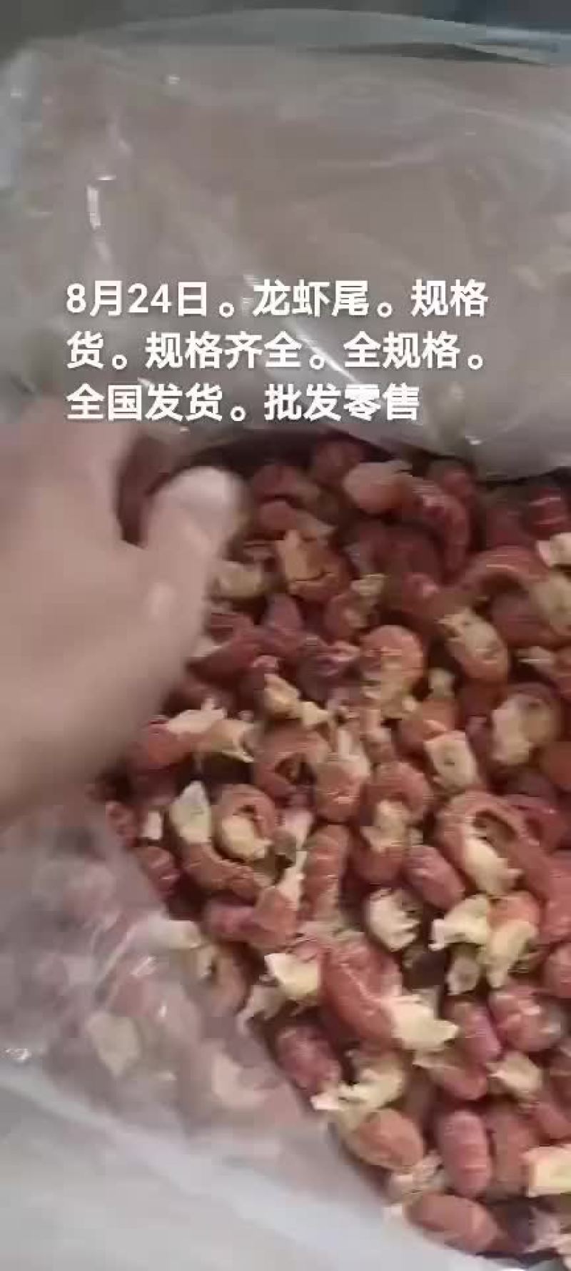 龙虾尾