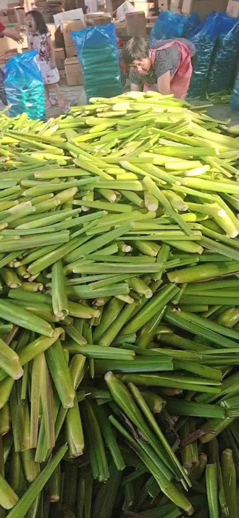 磐安高山茭白