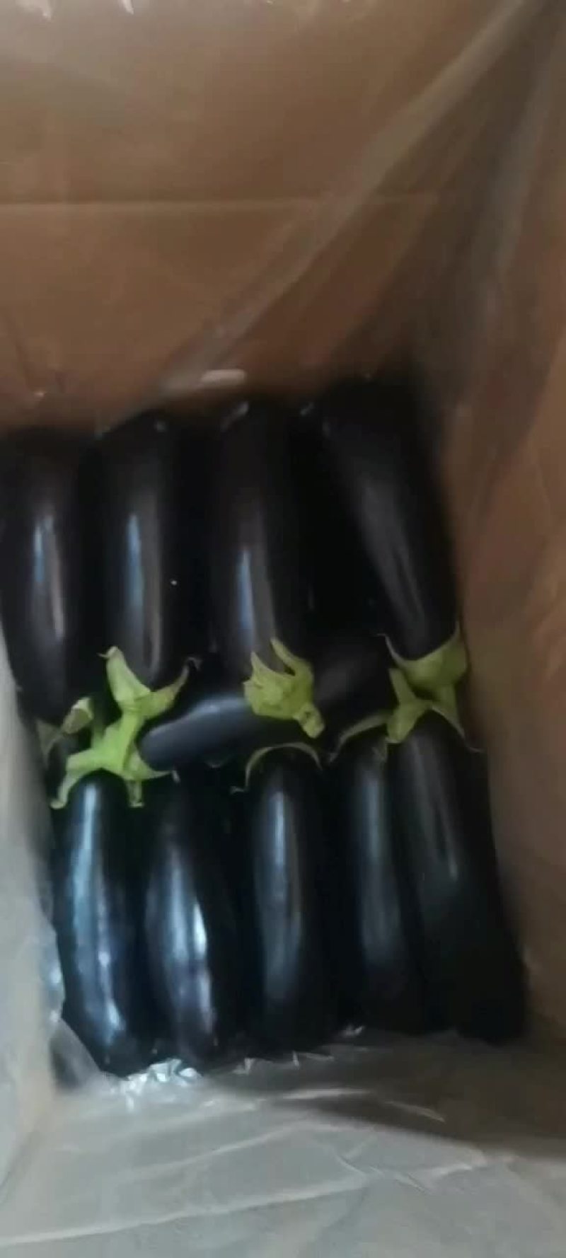精品765烧烤茄子