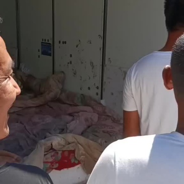 不多了特价东北园瓜在宁河七里海