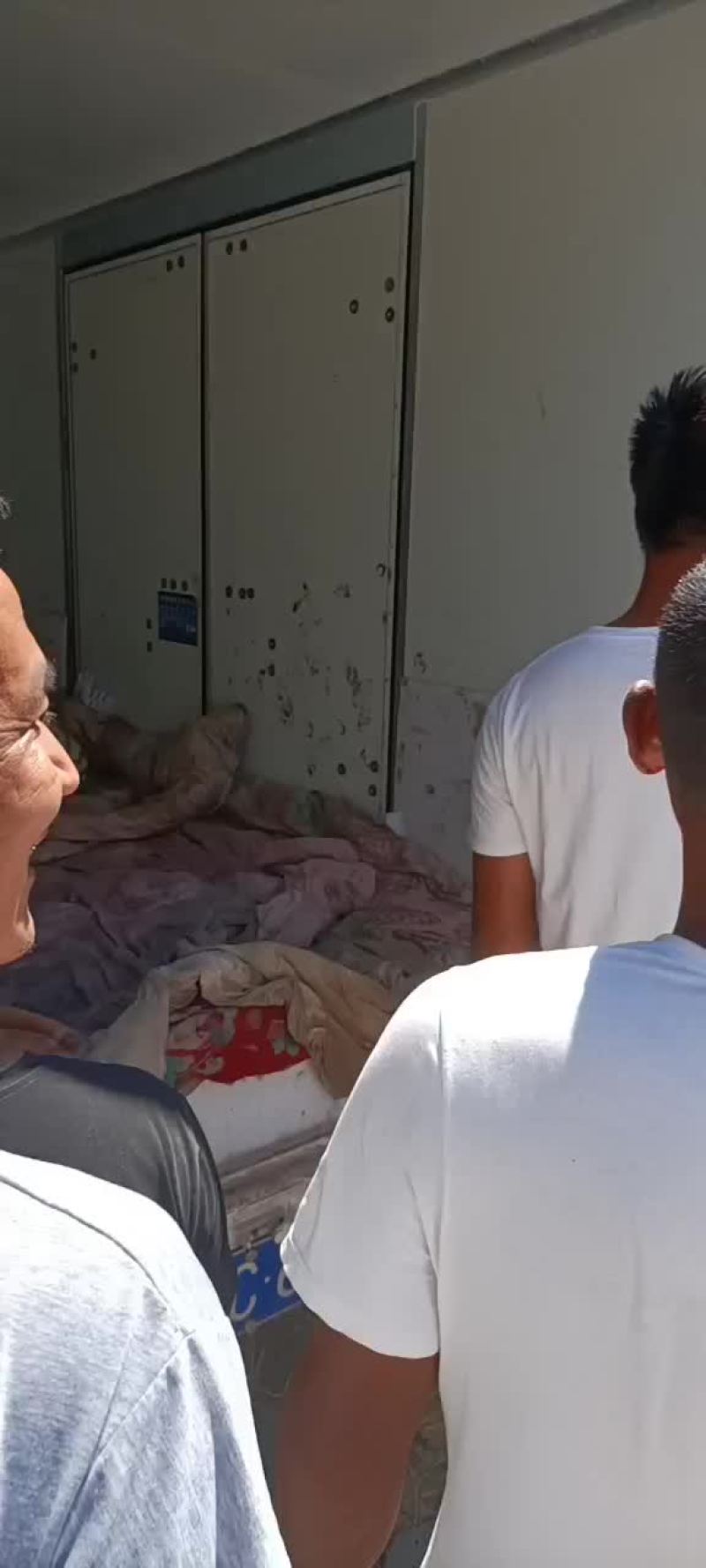 不多了特价东北园瓜在宁河七里海