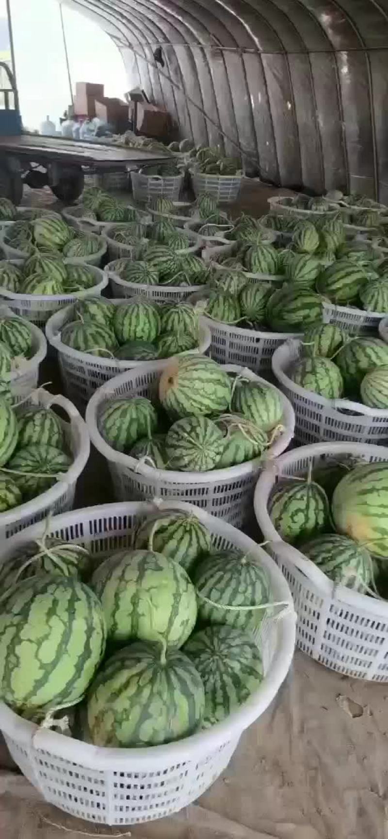 麒麟瓜