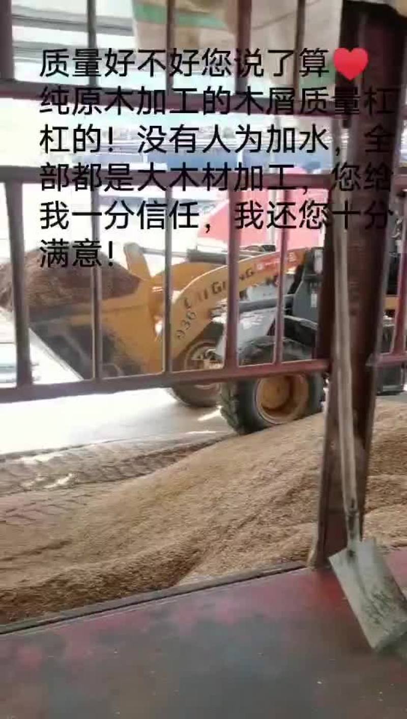 杂木屑