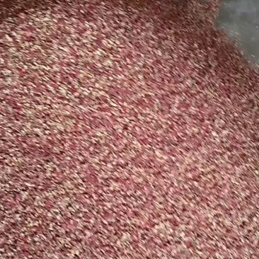 甘肃陇南文县大红袍花椒，货源充足。