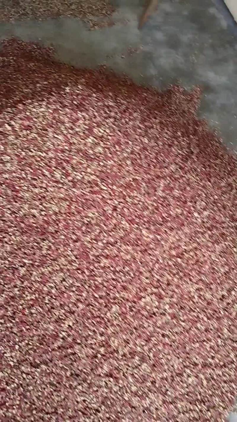 甘肃陇南文县大红袍花椒，货源充足。