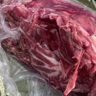 肥牛片适合牛肉馅涮锅炒菜