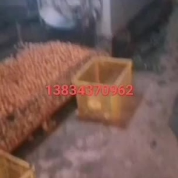 脱皮鲜核桃