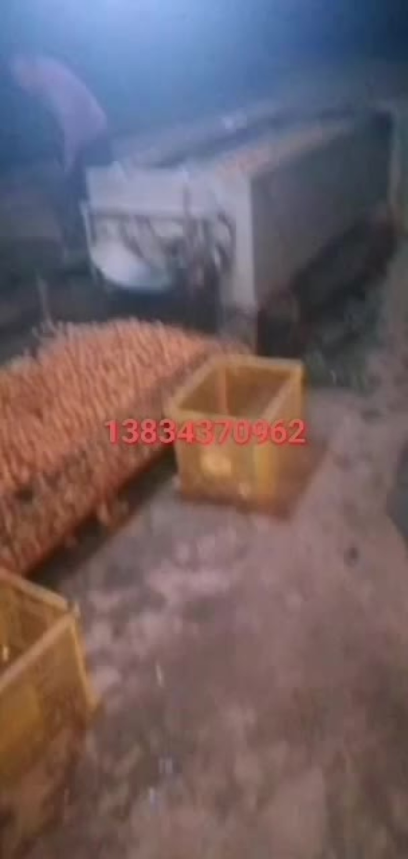 脱皮鲜核桃