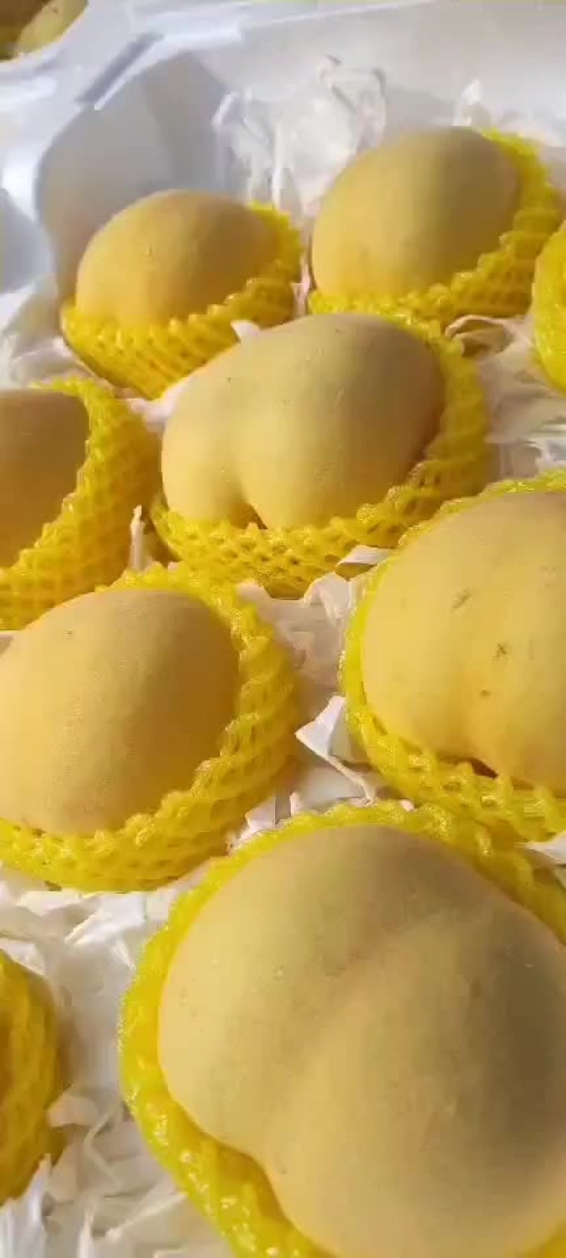 新沂市黄桃
