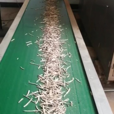 A级香菇丝