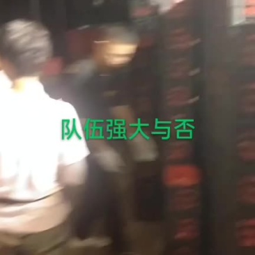 大量供应优质圣女果