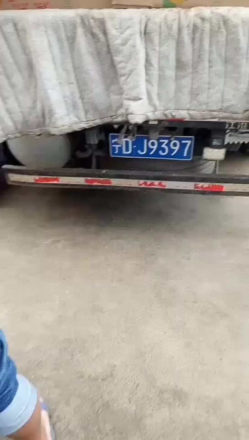 亚特猕猴桃、专业代办，代收代存以及各种猕猴桃