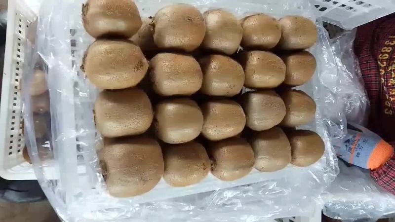 海沃德猕猴桃。产地直供，专业代办代存直电商，超市果行