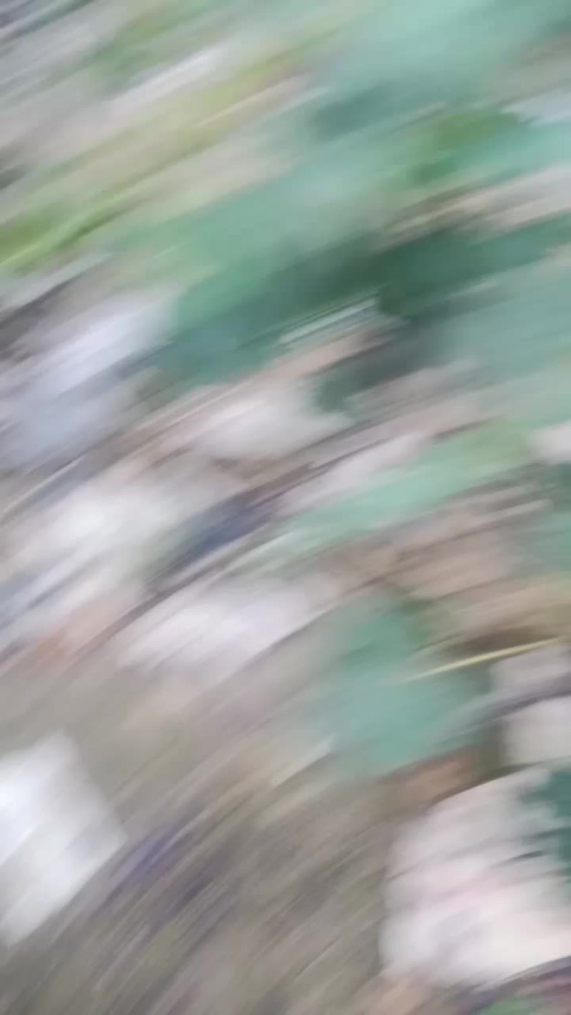 精品葡萄