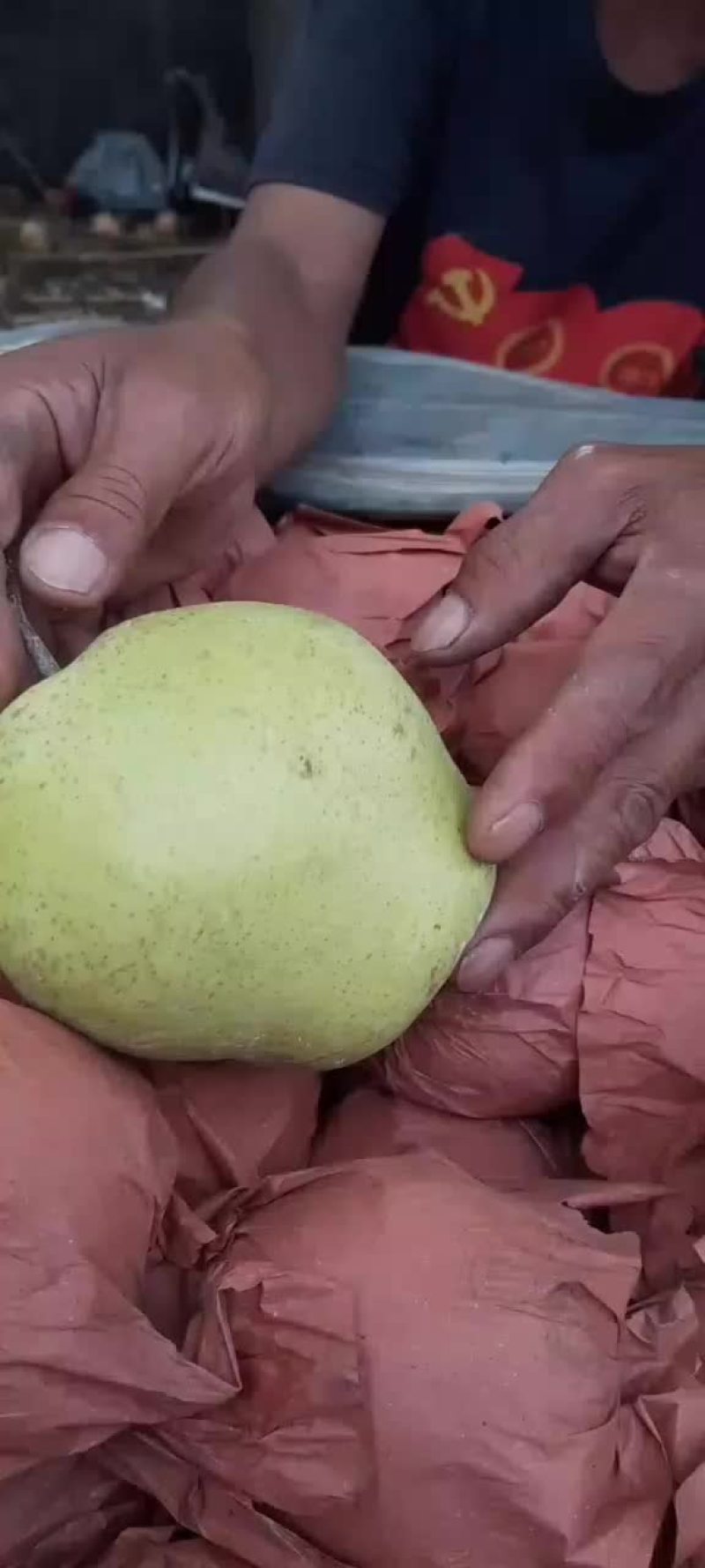 皇冠梨，