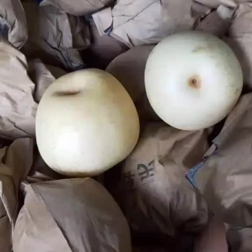 皇冠梨，
