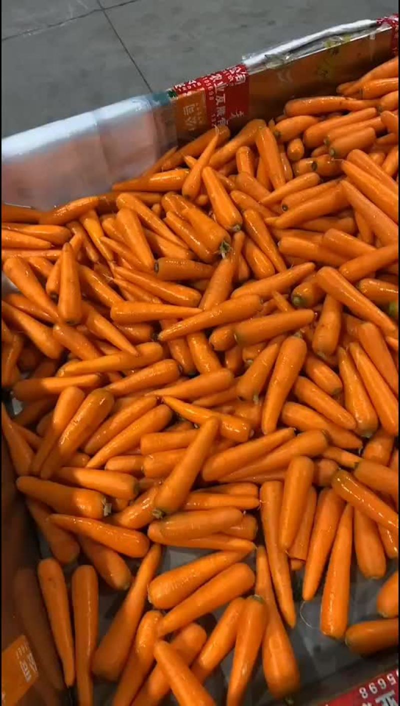 胡萝卜