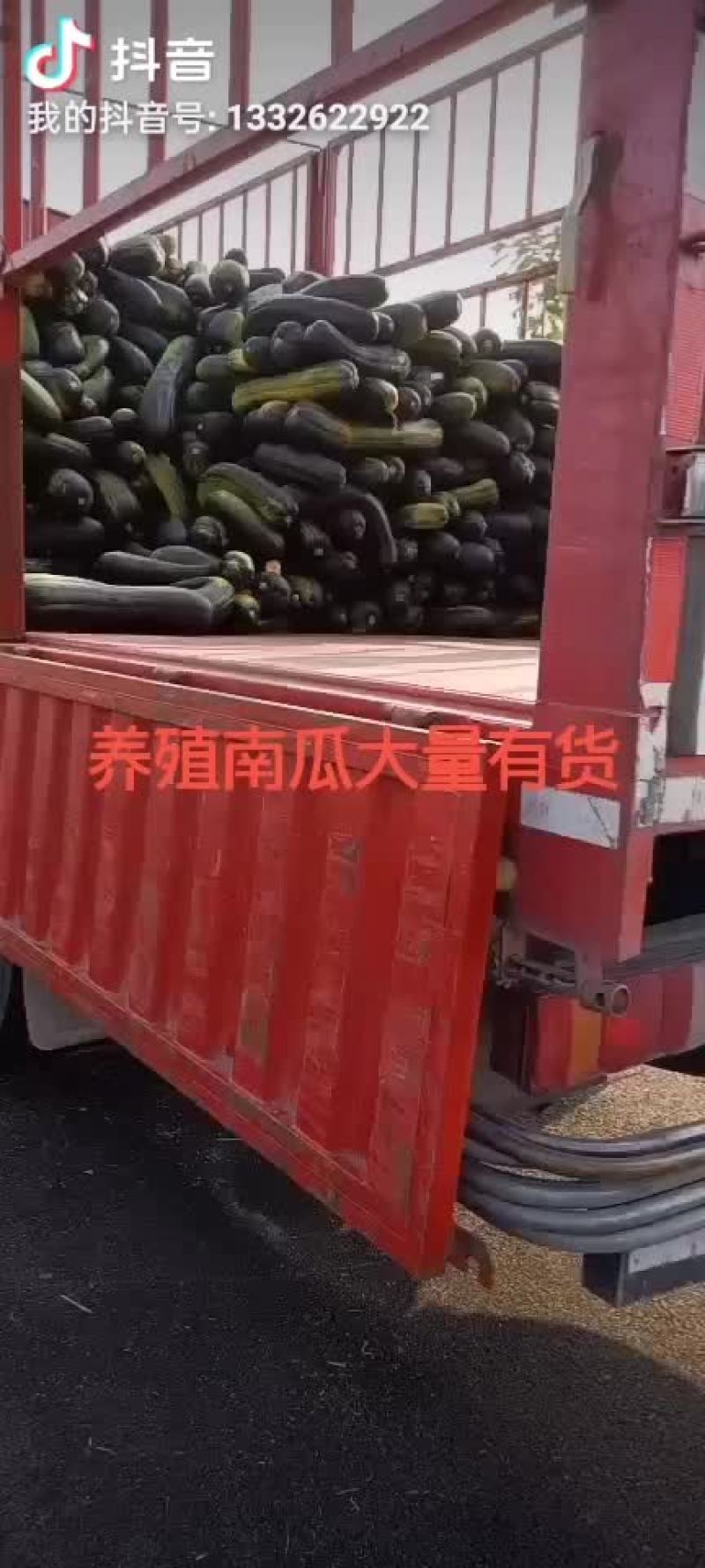 胡萝卜