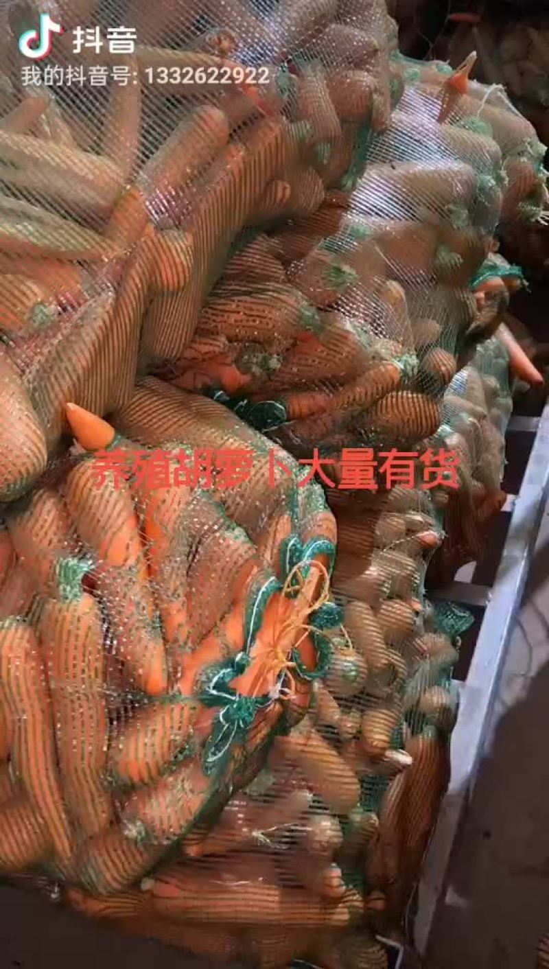 胡萝卜