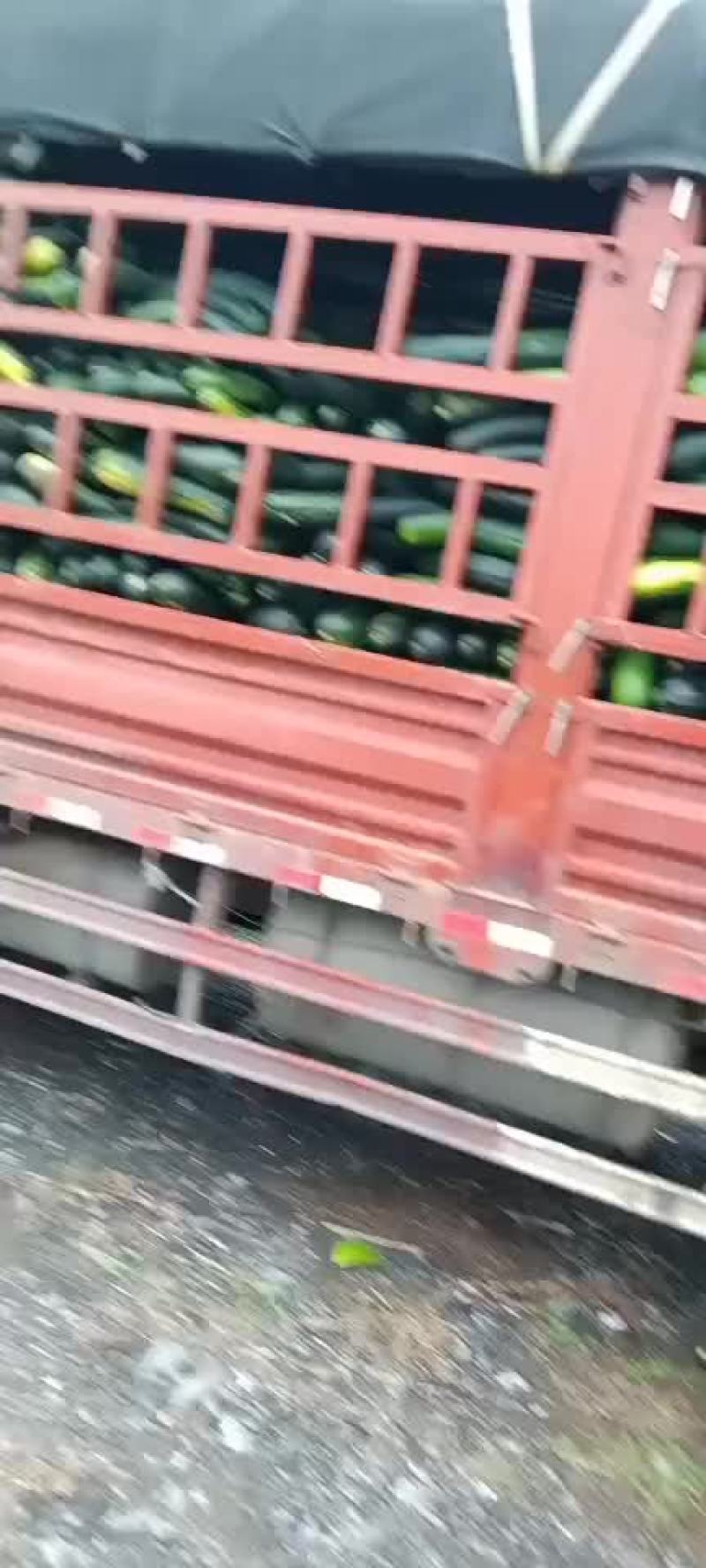 胡萝卜