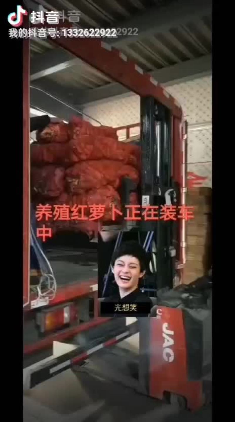 胡萝卜