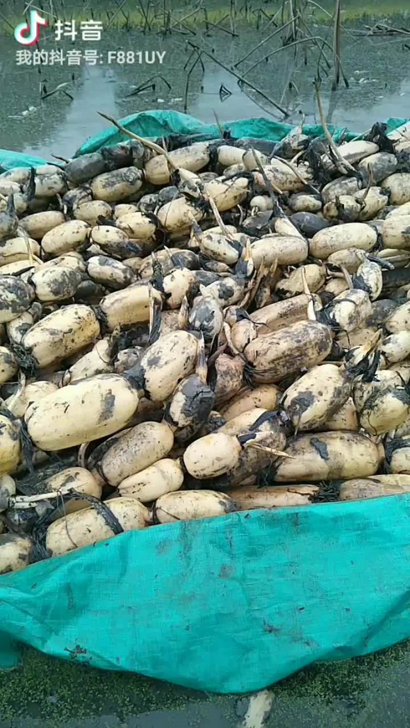品种多多价格优惠