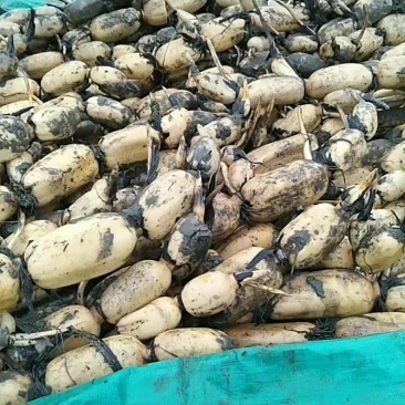 品种多多价格优惠