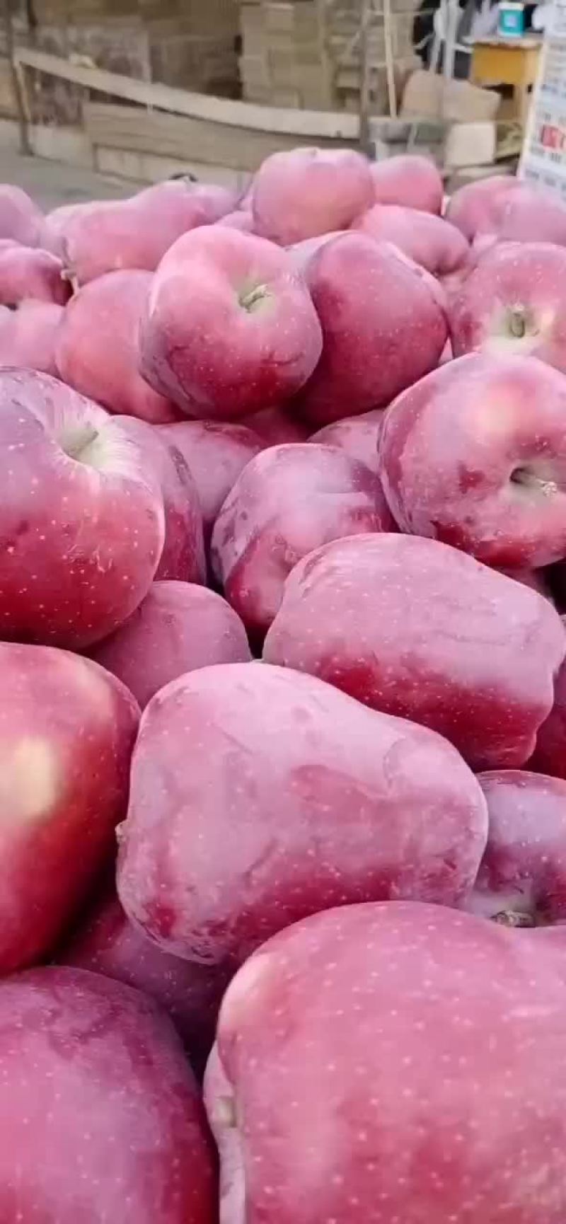 花牛苹果