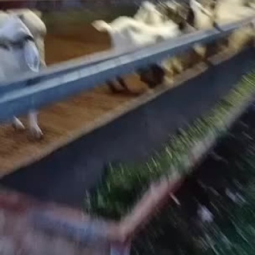 绵阳