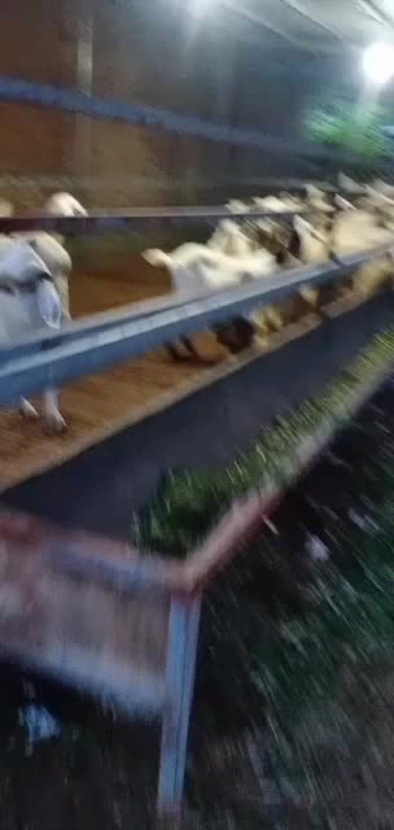 绵阳