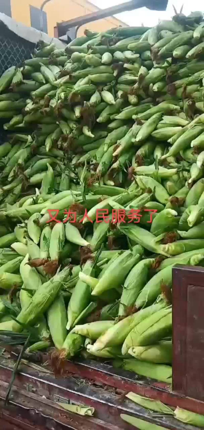 水果玉米