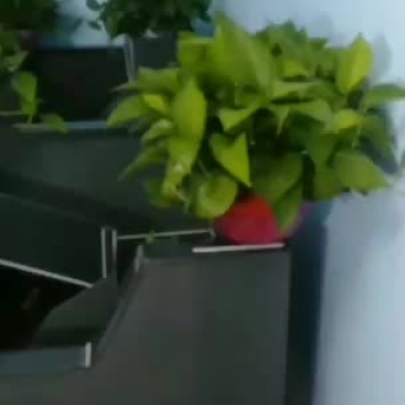 家庭高级种龟养殖箱