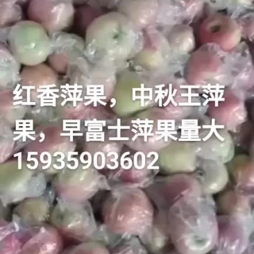 萍果