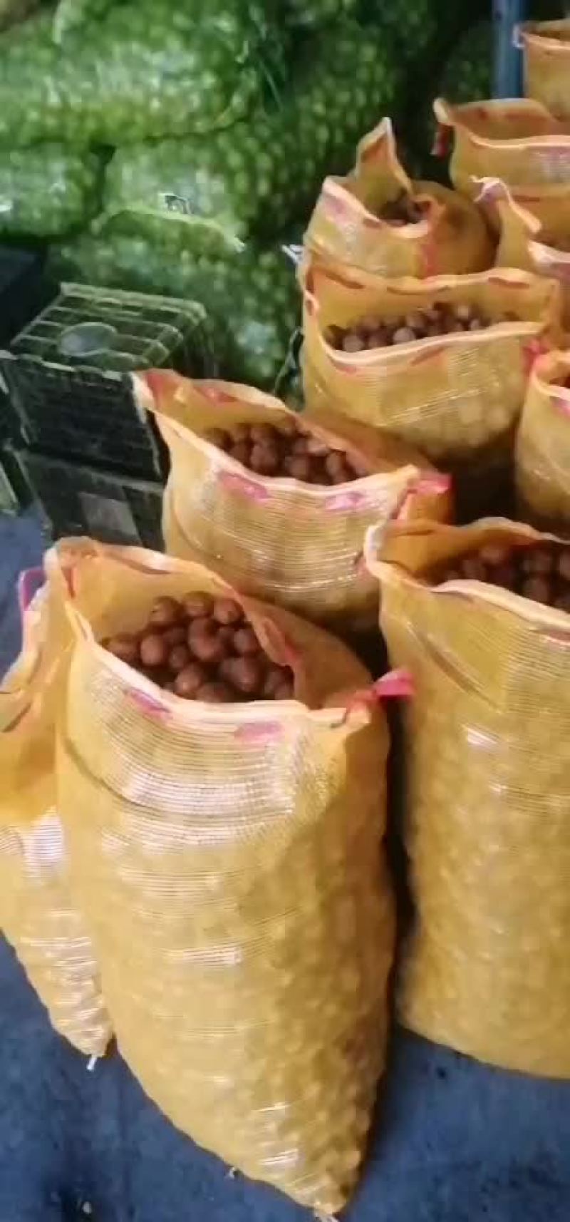 核桃