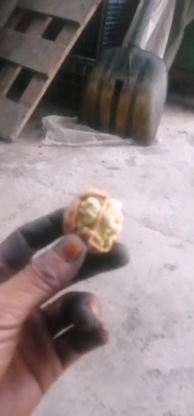 核桃