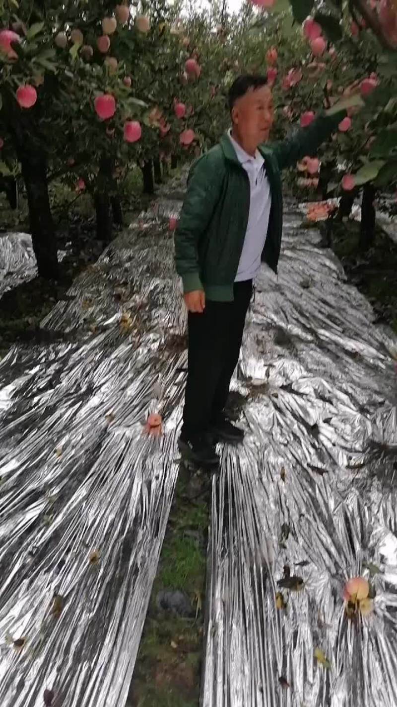 红星红将军都己红啦希望老板们都来收吧
