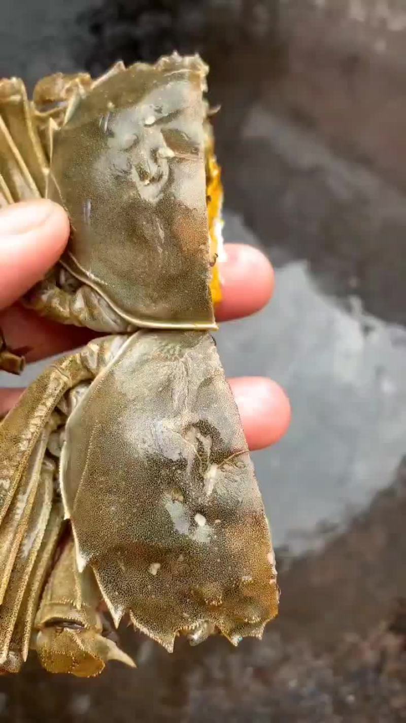 大闸蟹今年已经大量上市要货的来与我联系大量供应