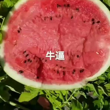 西瓜