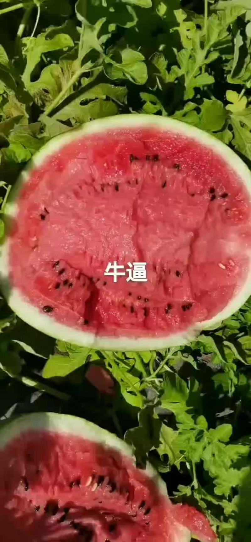 西瓜