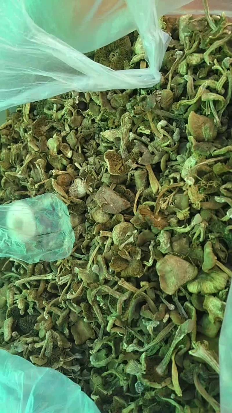 内蒙古野生黄蘑，产地自销，价格便宜