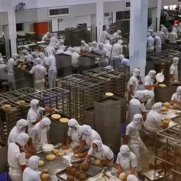 金九月饼