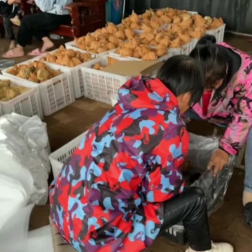 秋月梨