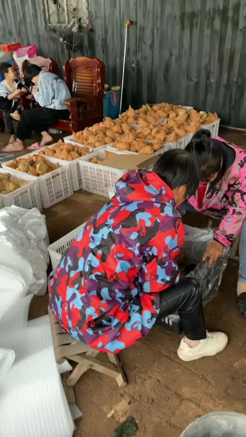 秋月梨
