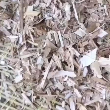 优质扎段玉米秸秆草块