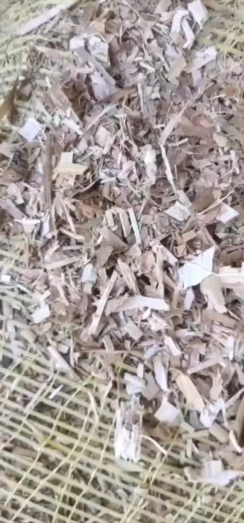 优质扎段玉米秸秆草块