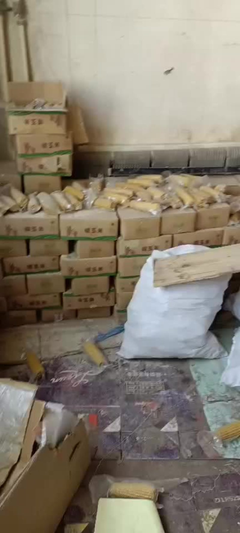 小黄粘！万糯！玉米
